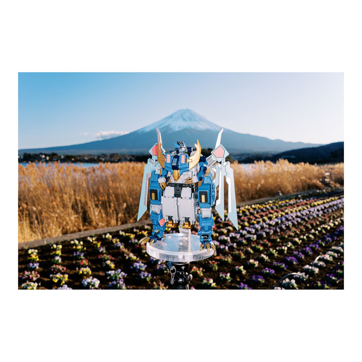 MagnusLabel by Magnus Kwan🔙TFConLA2026 tweet media