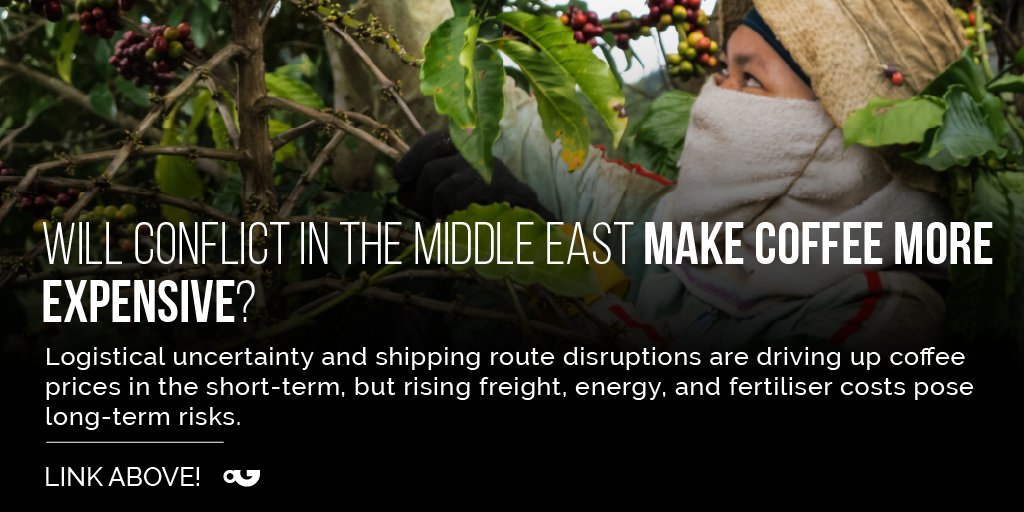 Perfect Daily Grind tweet media