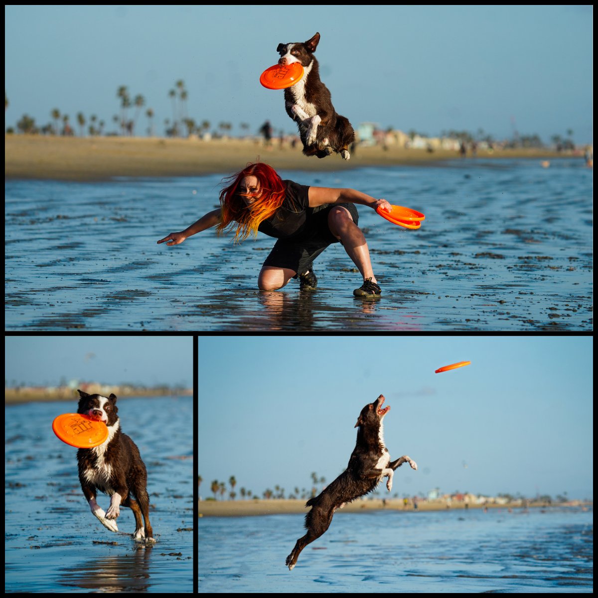 bccamera's tweet image. Splash-resistant and ready for all your adventures!  🏖️

Save up to $100 through March 29 with instant savings - including on the Sigma 150-600mm DG DN OS | Sports lens for Sony E-mount and L-mount! 

Images: Anabel DFlux

blog.bergencountycamera.com/2026/03/sigma-…

#bergencountycamera #sigmalens