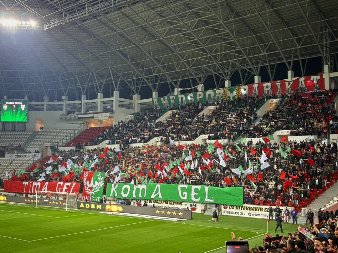 Azad Güvçin tweet media