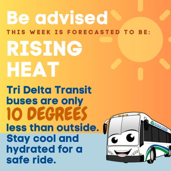 Tri Delta Transit tweet media