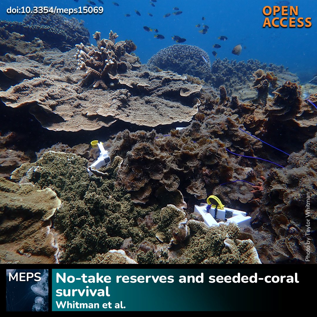 Marine Ecology Progress Series (MEPS) tweet media