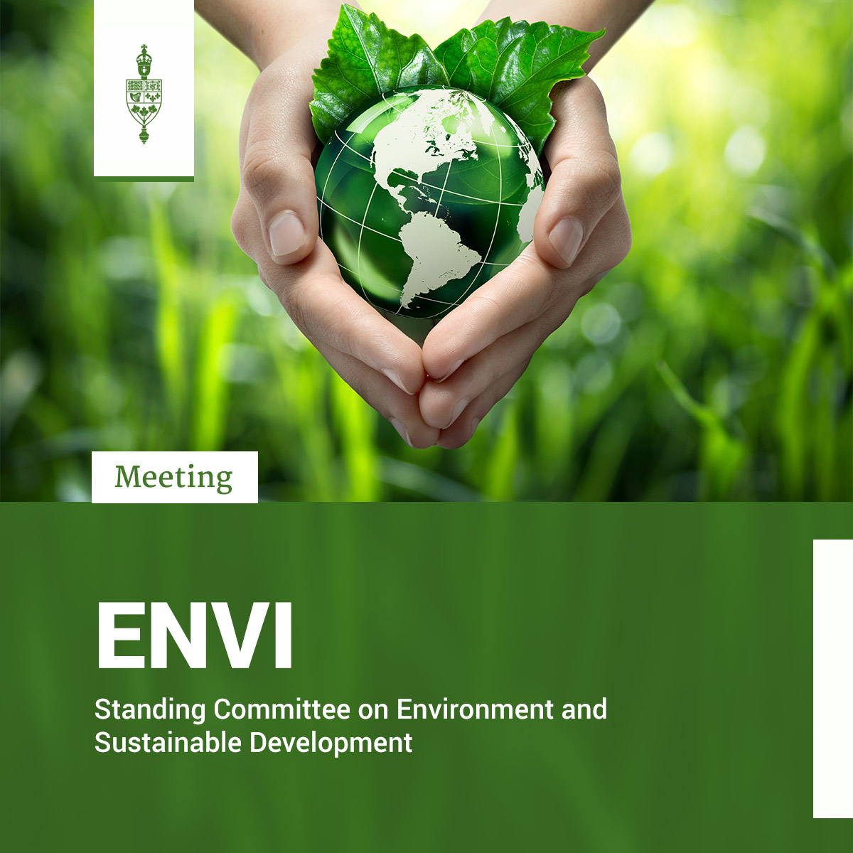 In Committee tweet media