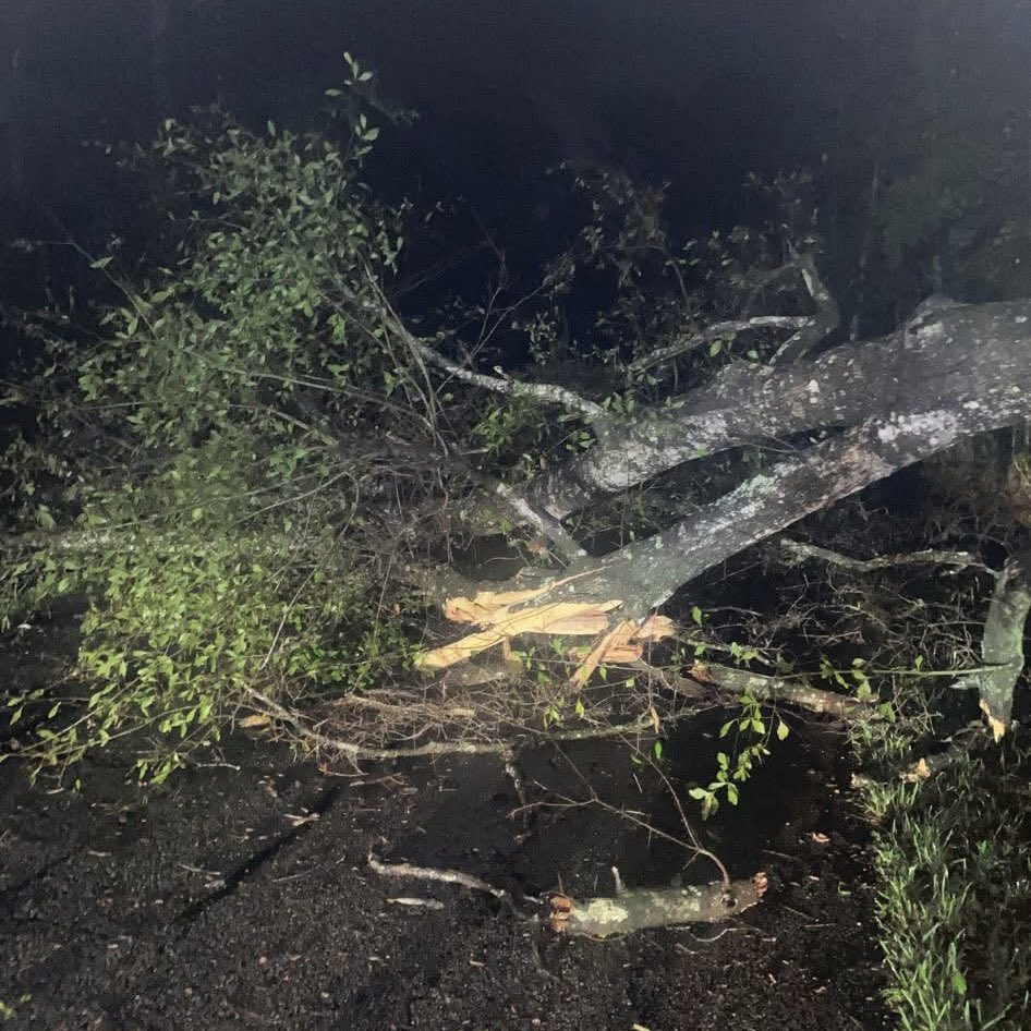 St. Tammany Parish tweet media