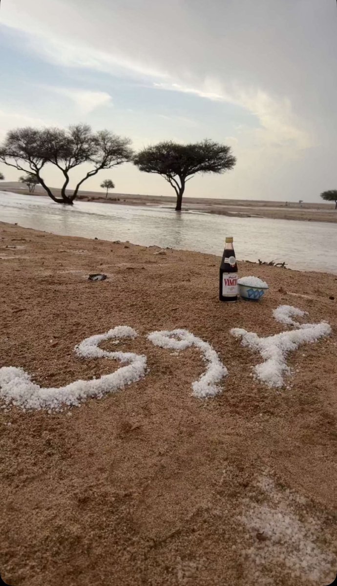 عسّاس العصيمي📷⛈. tweet media