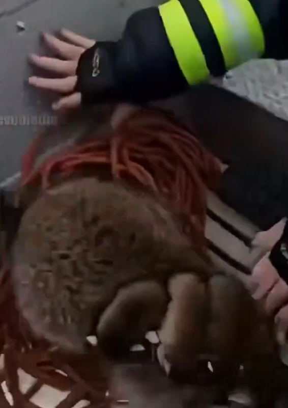 pinepeach tweet media