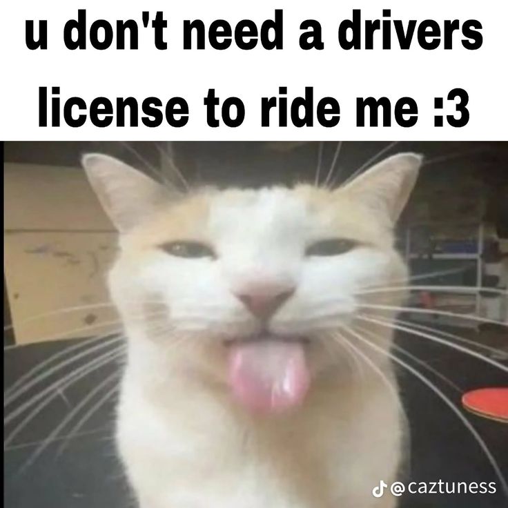 m0rnialt tweet media