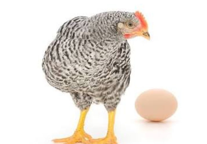 Axel Kalinijabo NANZE CWE tweet media