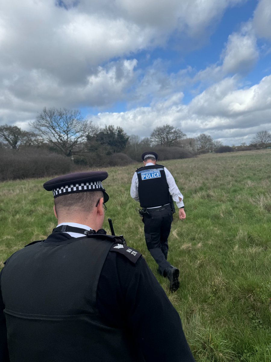 Hayes Town SNT tweet media