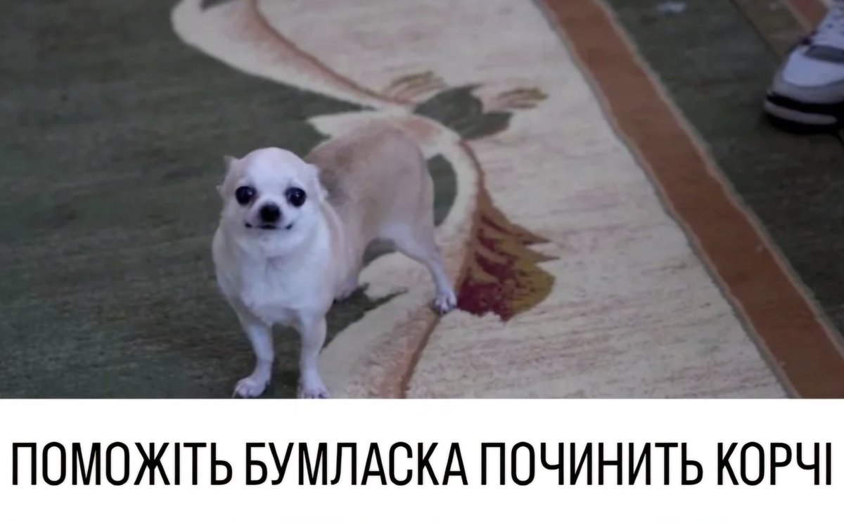 Вибачте, що я така молода, прошу вас вночі починить ссошникам корчі, але я б так не просила, якби не було так терміново❤️‍🩹Мені здається мене проклято цими ремонтами😐send.monobank.ua/jar/nKUpmAwZT