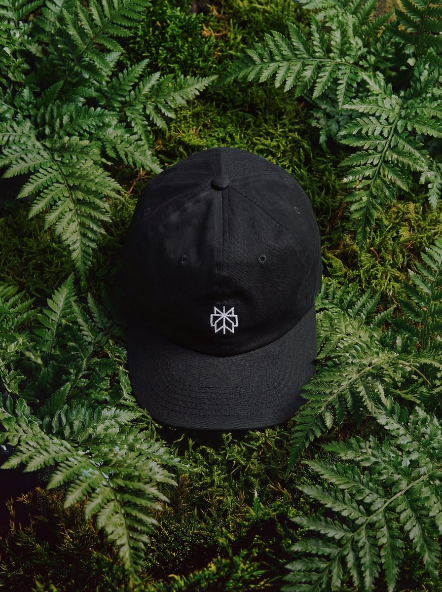 Perplexity Supply tweet media