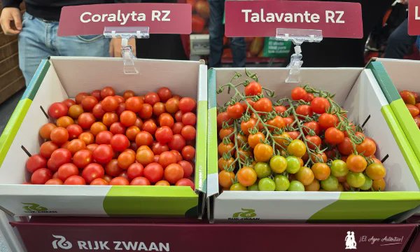 José Antonio Arcos tweet media