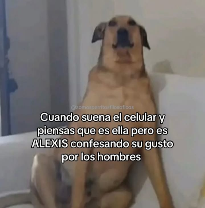 Para esto te tengo las notificaciones prendidas