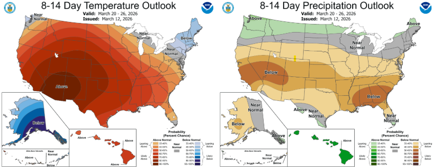 CHS Hedging tweet media