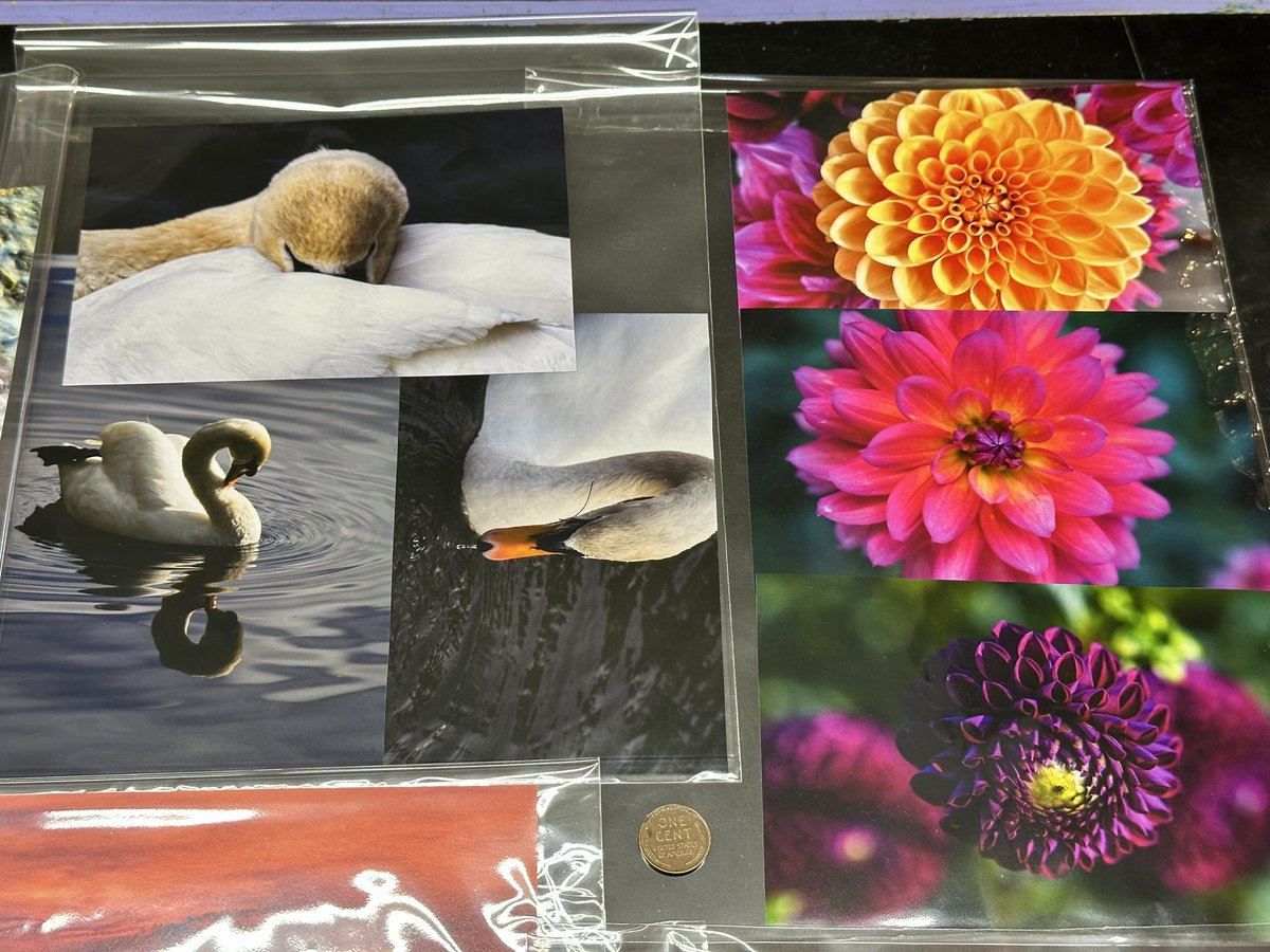 Wisdom of the Ages tweet media