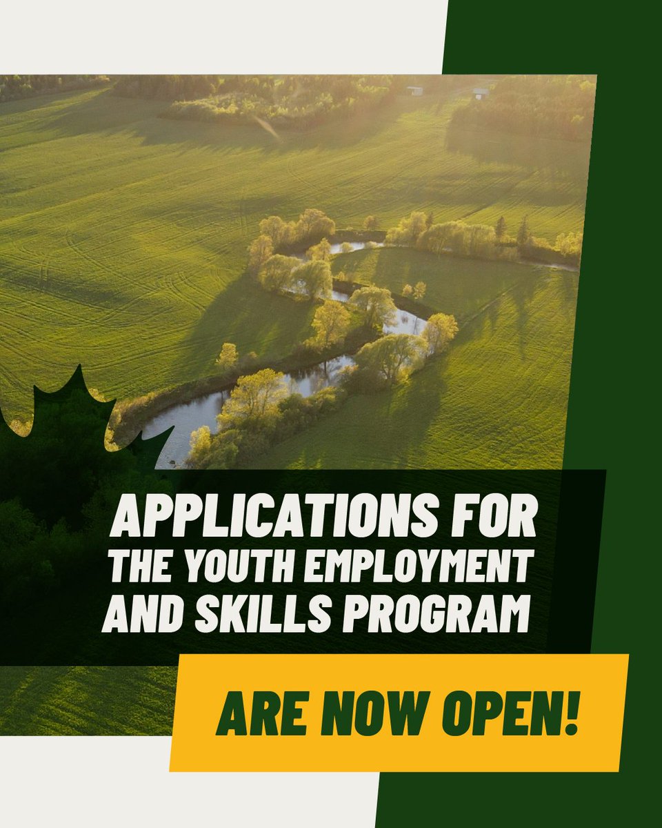 Tim Louis 🇨🇦 tweet media