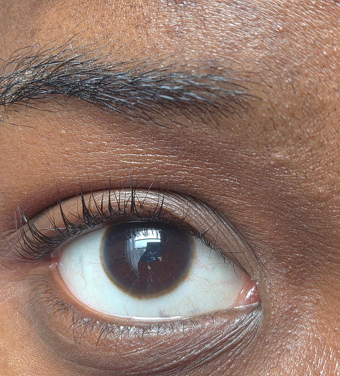 thirteen(13) ૮꒰˶ฅ́˘ฅ̀˶꒱ა tweet media