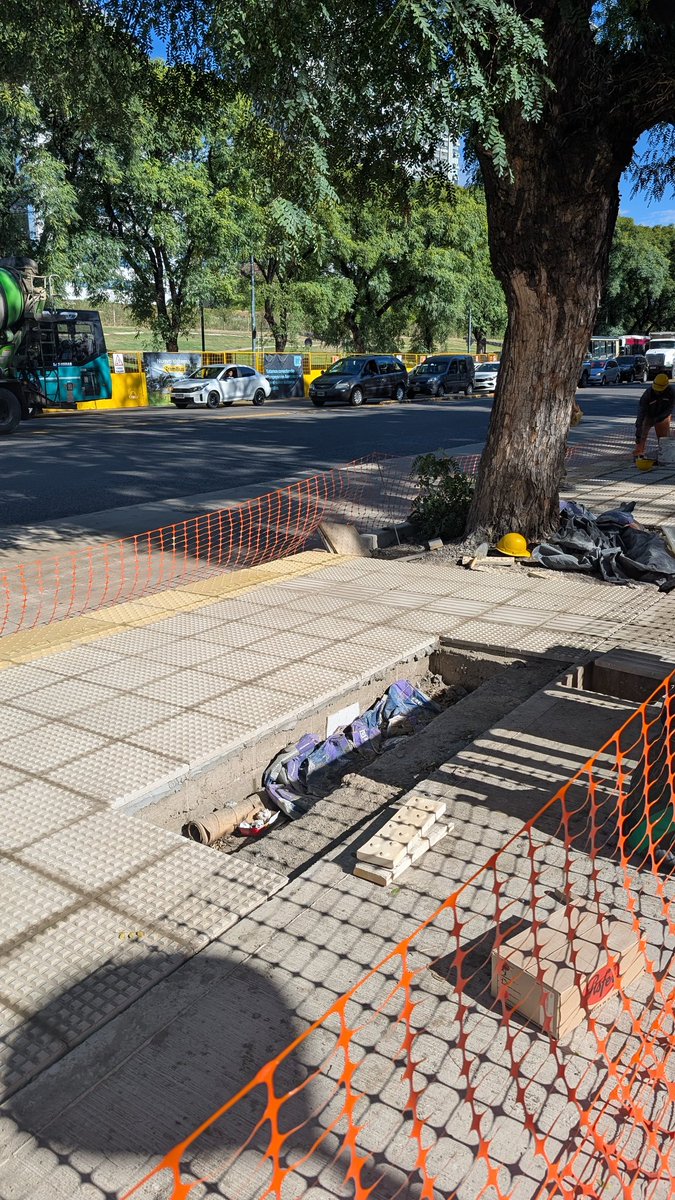 rodraletti's tweet image. "La transformación" es que están CEMENTANDO y dañando las raíces de los árboles de Avenida Bullrich para hacer las paradas del #TramBus. Son los árboles altísimos que dan sombra y verde a la avenida. El poco césped de la ciudad.  No hay nadie de Arbolado. @gcba @tinchocantera