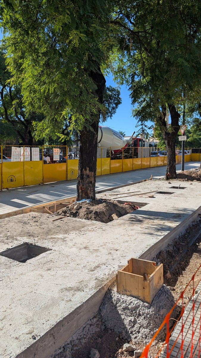 rodraletti's tweet image. "La transformación" es que están CEMENTANDO y dañando las raíces de los árboles de Avenida Bullrich para hacer las paradas del #TramBus. Son los árboles altísimos que dan sombra y verde a la avenida. El poco césped de la ciudad.  No hay nadie de Arbolado. @gcba @tinchocantera