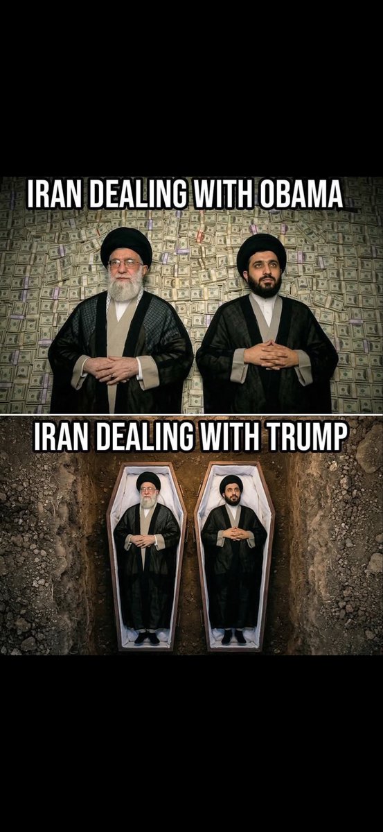 Primrose tweet media