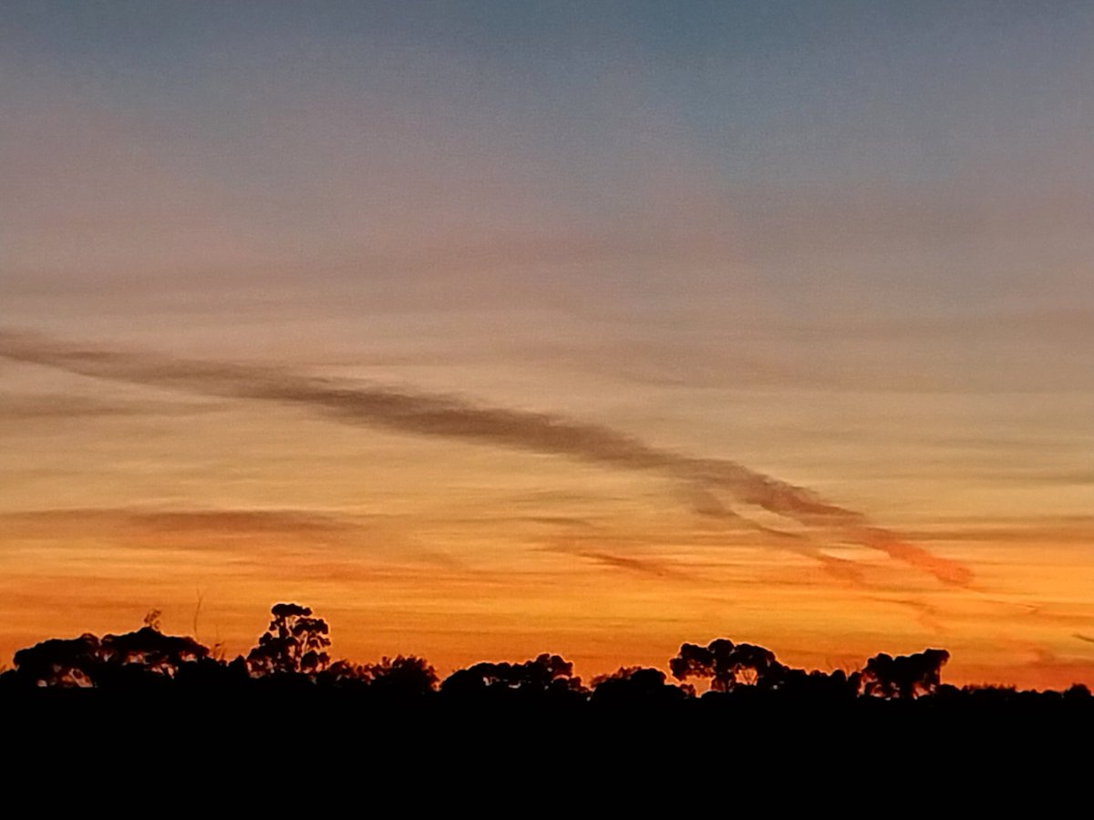 Subbo tweet media