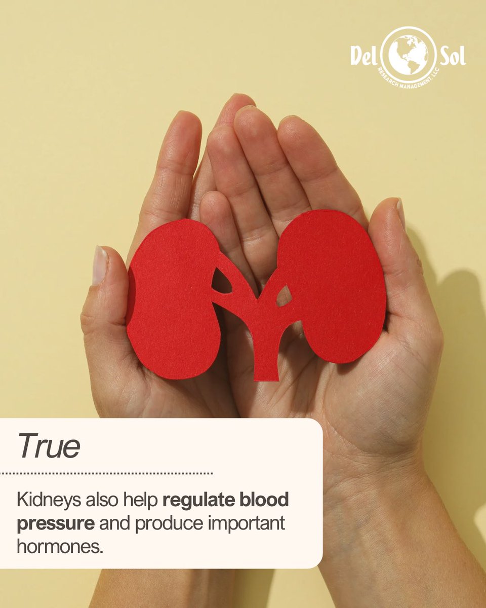 Del Sol Research tweet media