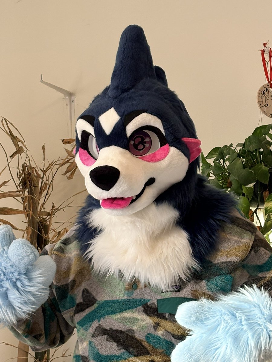 Cute poke suit I made a few weeks ago🩵🖤, he’s very playful and loves hugs ! 🩵 soon to be a fullsuit 🙏