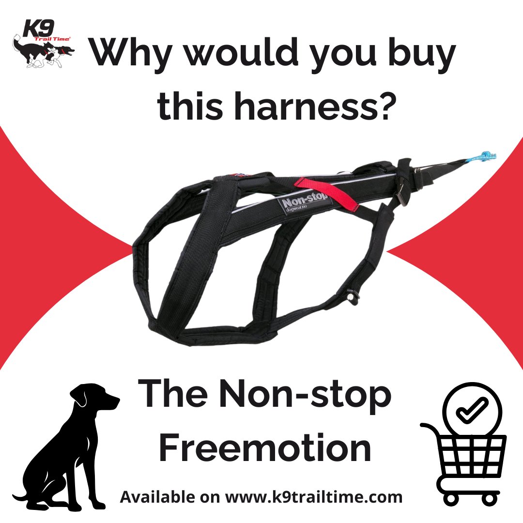 K9 Trail Time tweet media