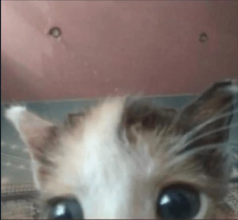 ✩☽⋆𝖗𝖎𝖑𝖊𝖞⋆☾✩ tweet media