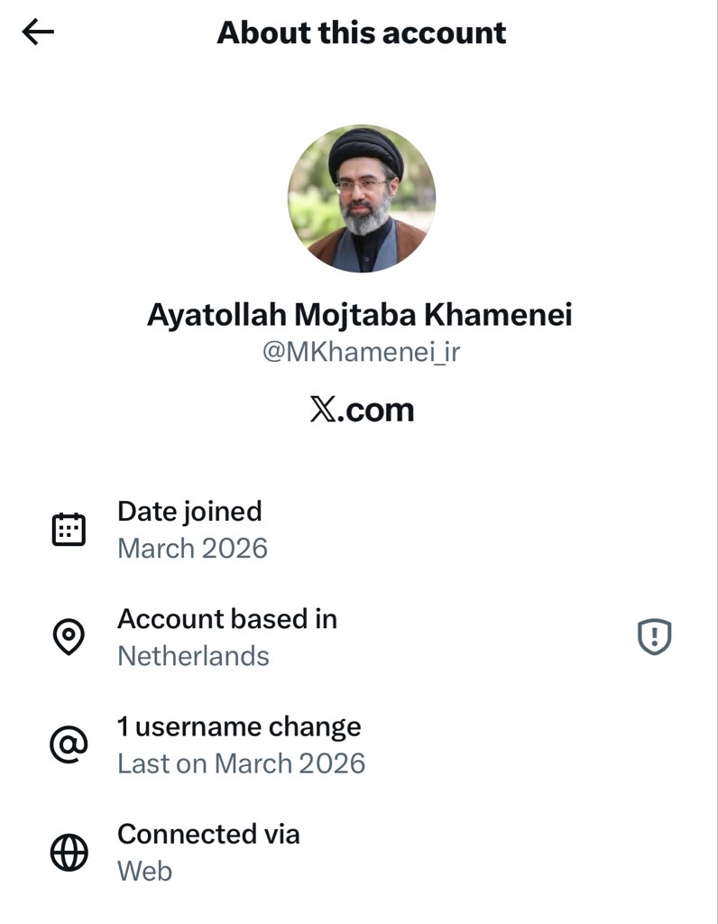 OhMyGrok (OMG) tweet media