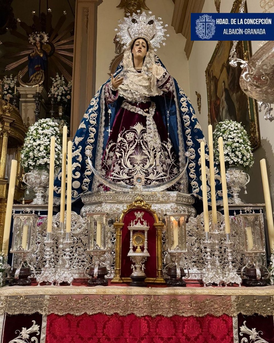 Hermandad de la Concepción tweet media