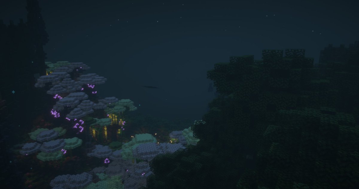 Luminary SMP tweet media