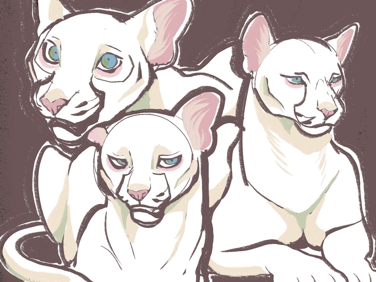 DUDEEEEE she so pretty