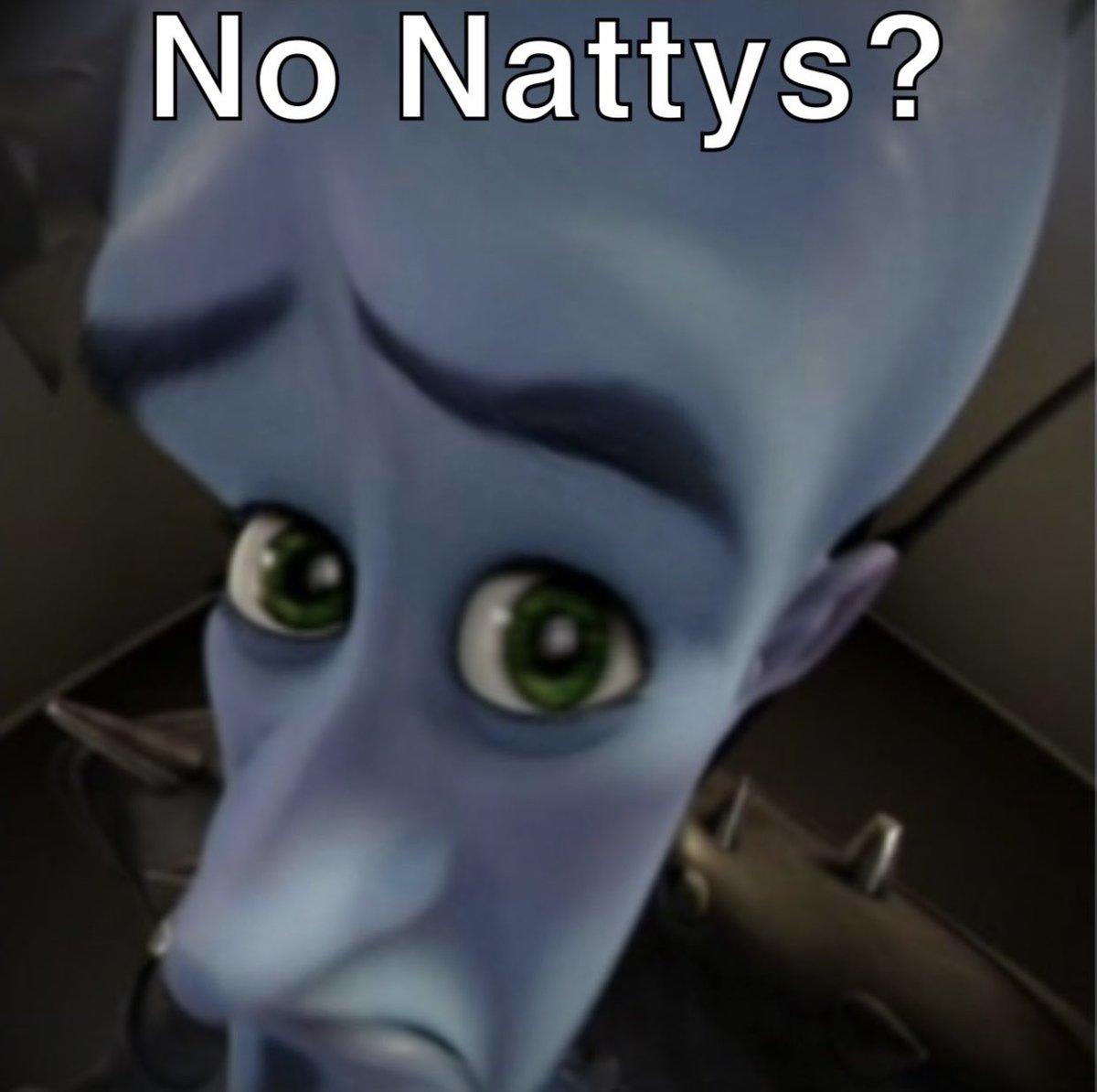 Green & Gold Guy tweet media