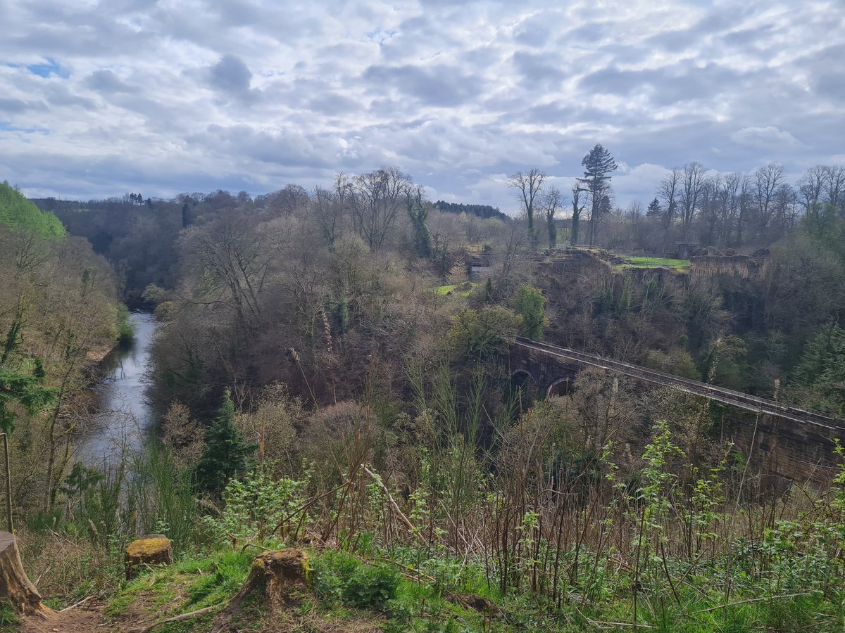 CLUTHA Archaeology Group tweet media