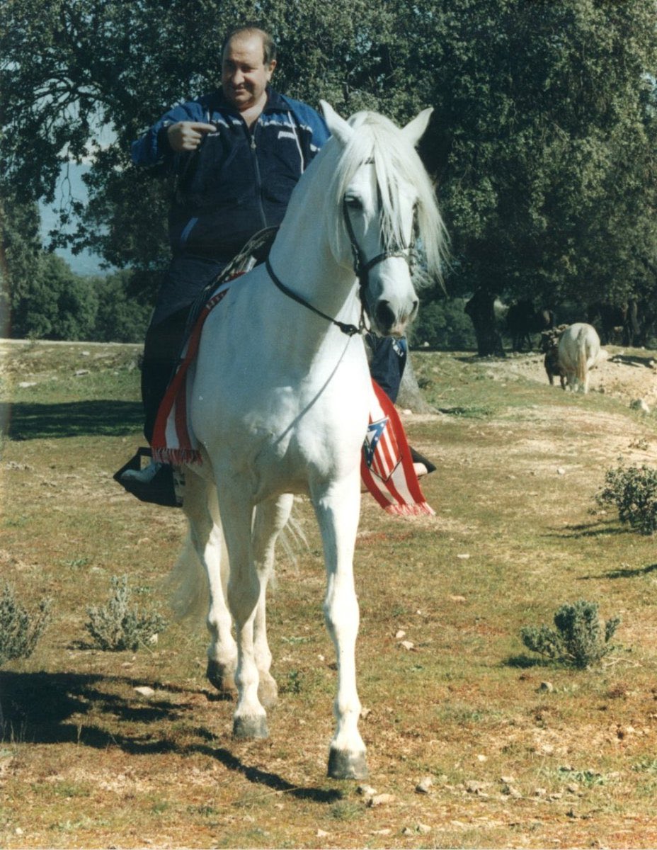 SAMPA10 (@jc_sampaio) on Twitter photo 