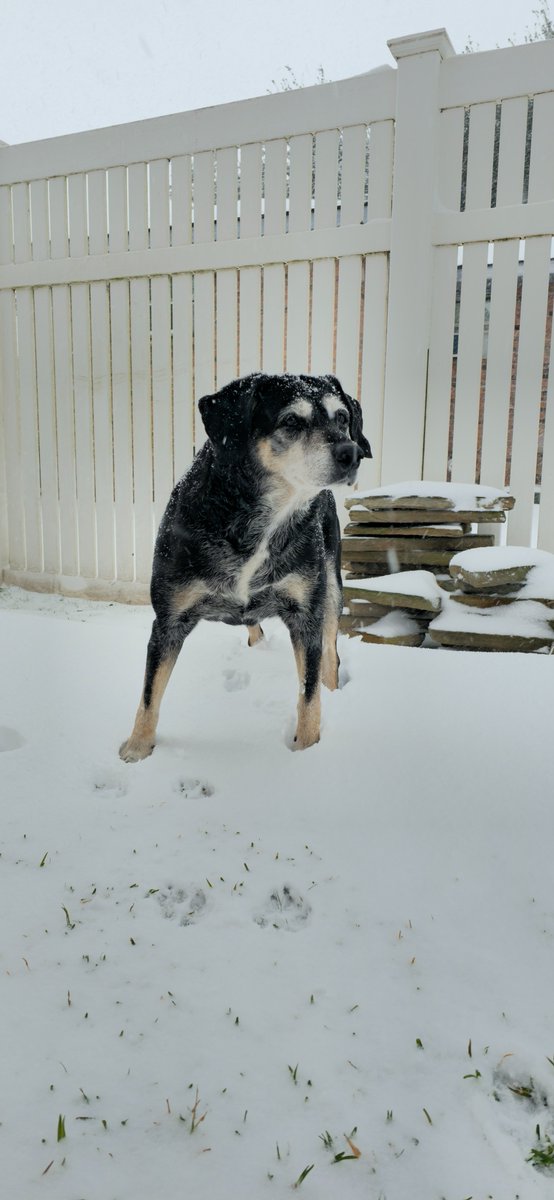 Coach Dorn || Oyaji Club tweet media