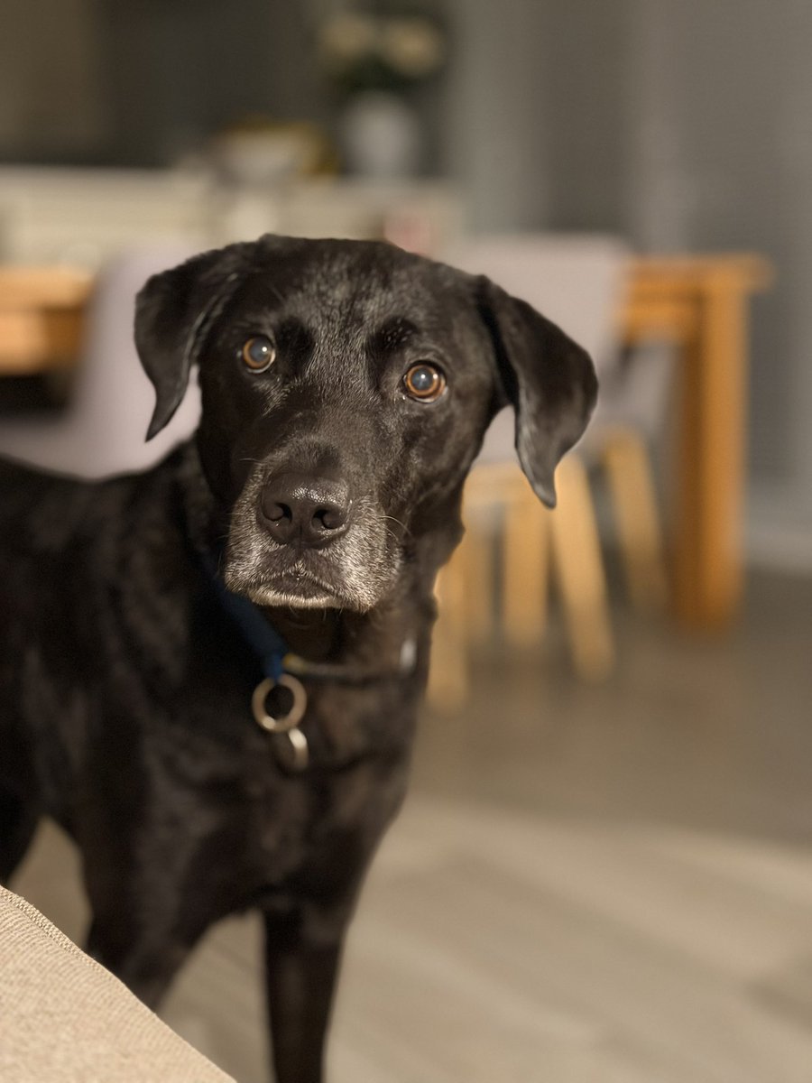 Steve Marson | Author. tweet media