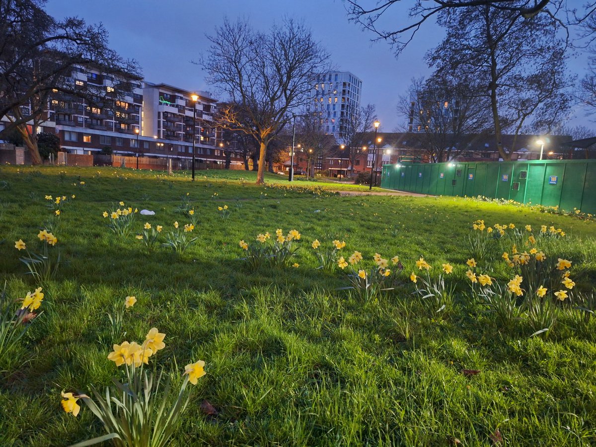 Nightingale Estate 🏡🏠 tweet media