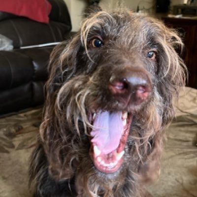 SCARTX1's tweet photo. #NewProfilePic https://t.co/w1Im1krAnk
