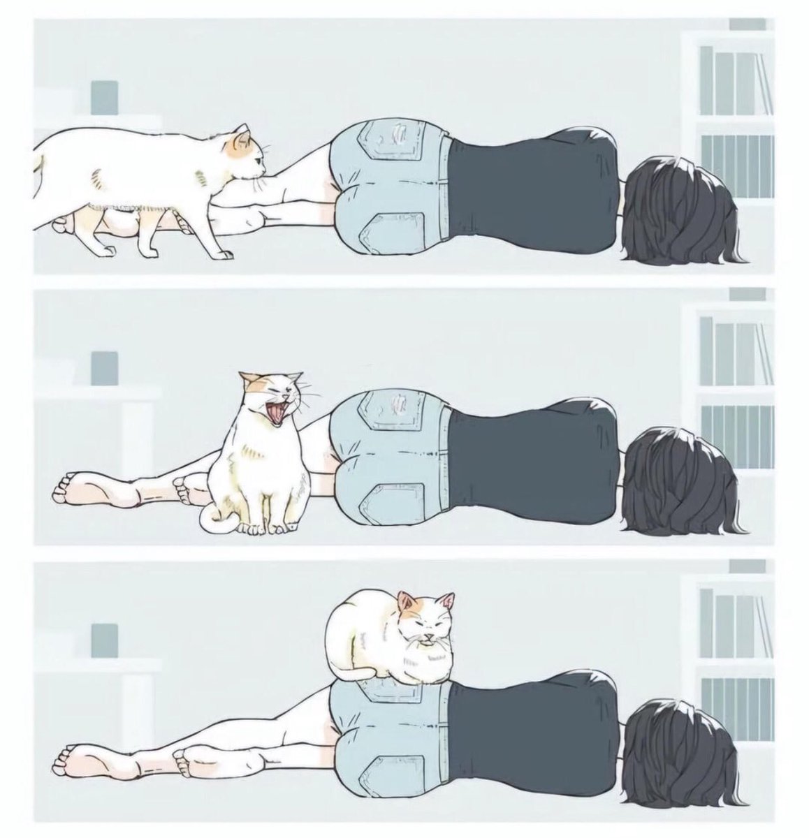 Cats with Aura 😺 tweet media