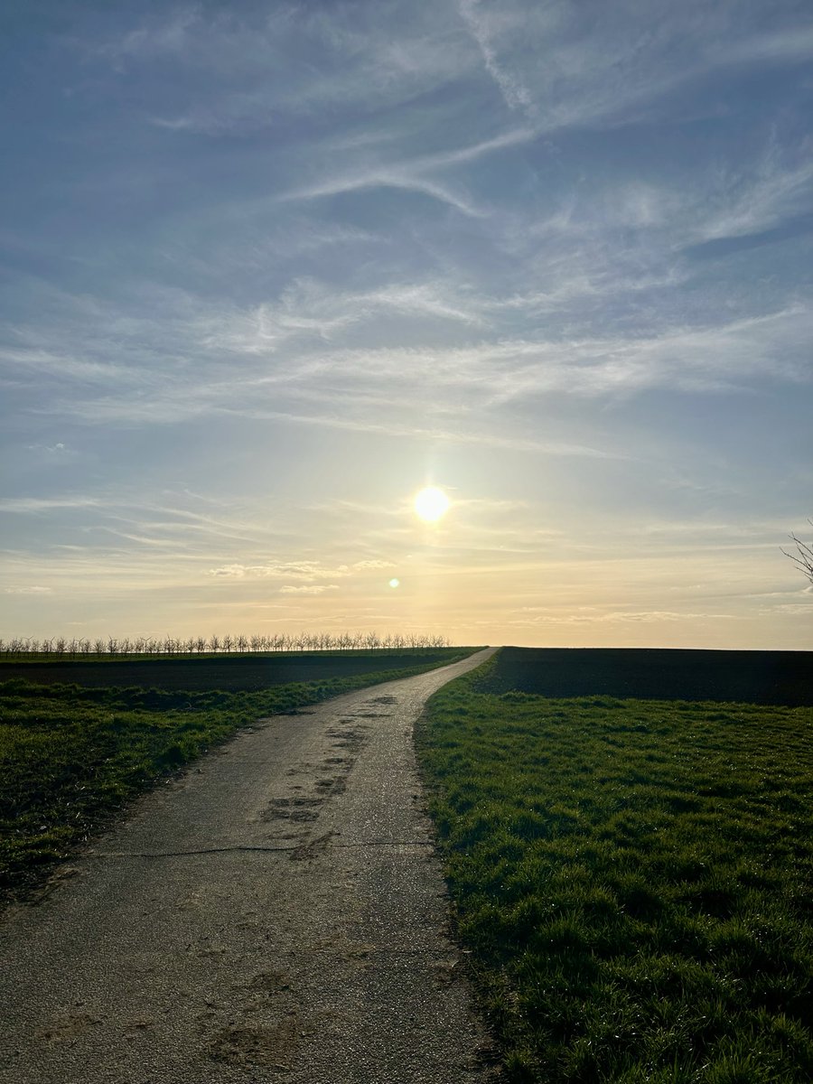 Stephan Da Re tweet media