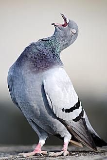 잃어버린 꿈에 미련은 없는거야
후회는 하지만-