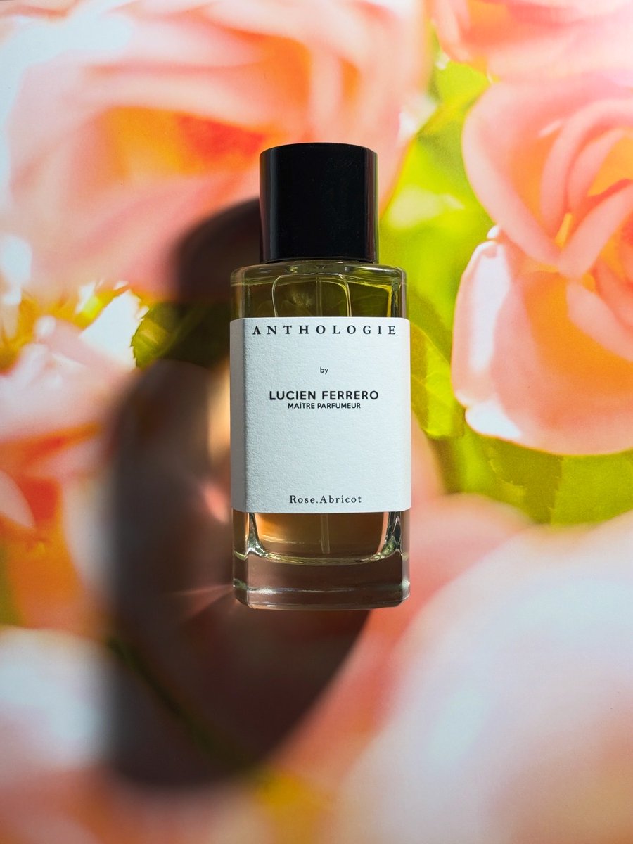 Approaching springtime like this.
Anthology of memories. Ig4more🤍