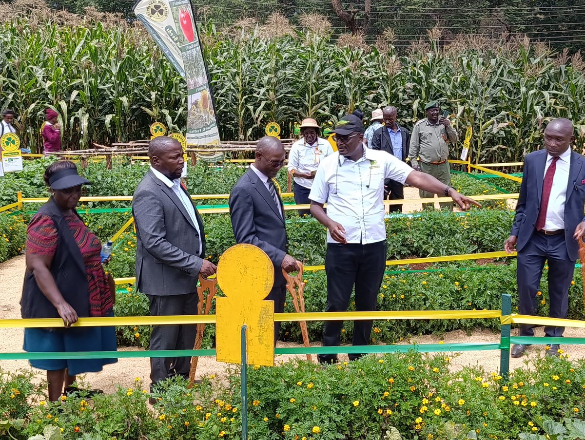 Simlaw Seeds Co. Ltd tweet media