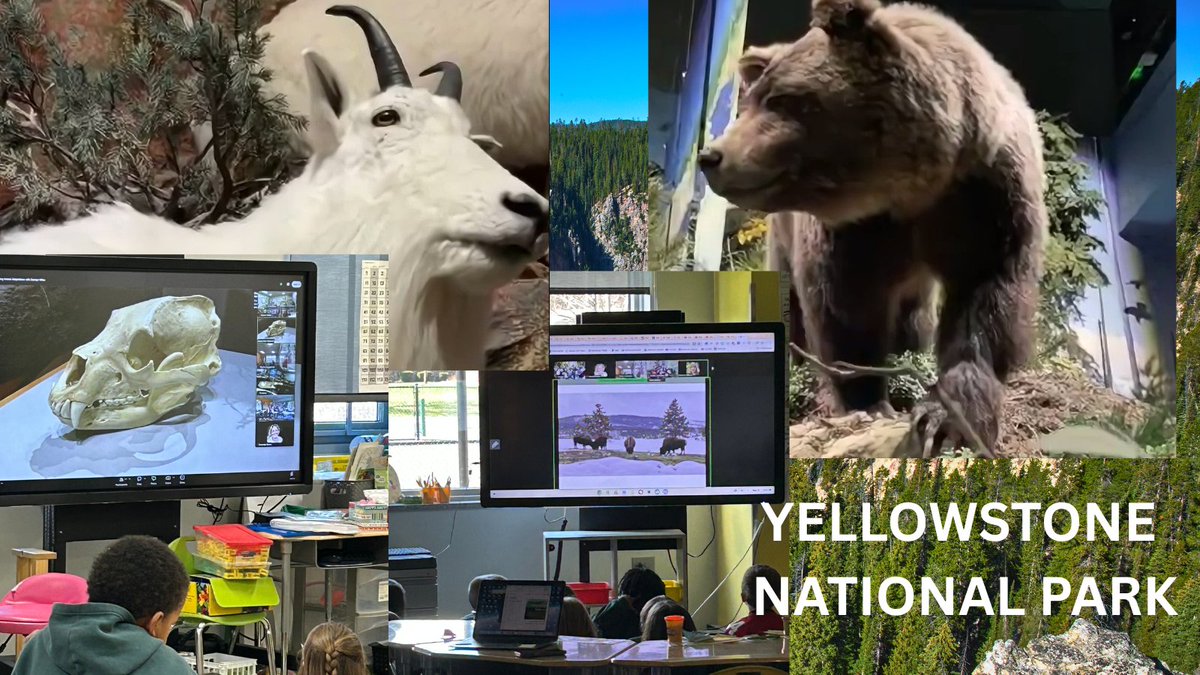 Amanda Sears tweet media