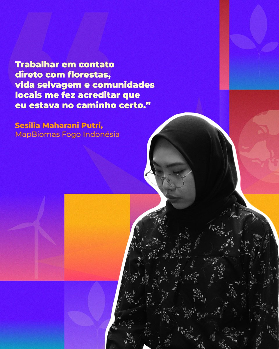 MapBiomas tweet media