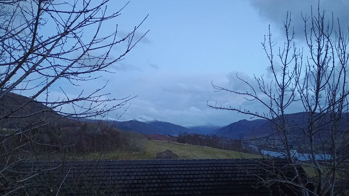 KatharineD tweet media