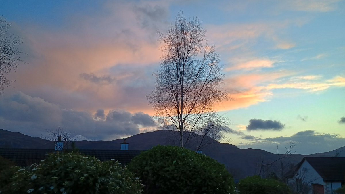 KatharineD tweet media