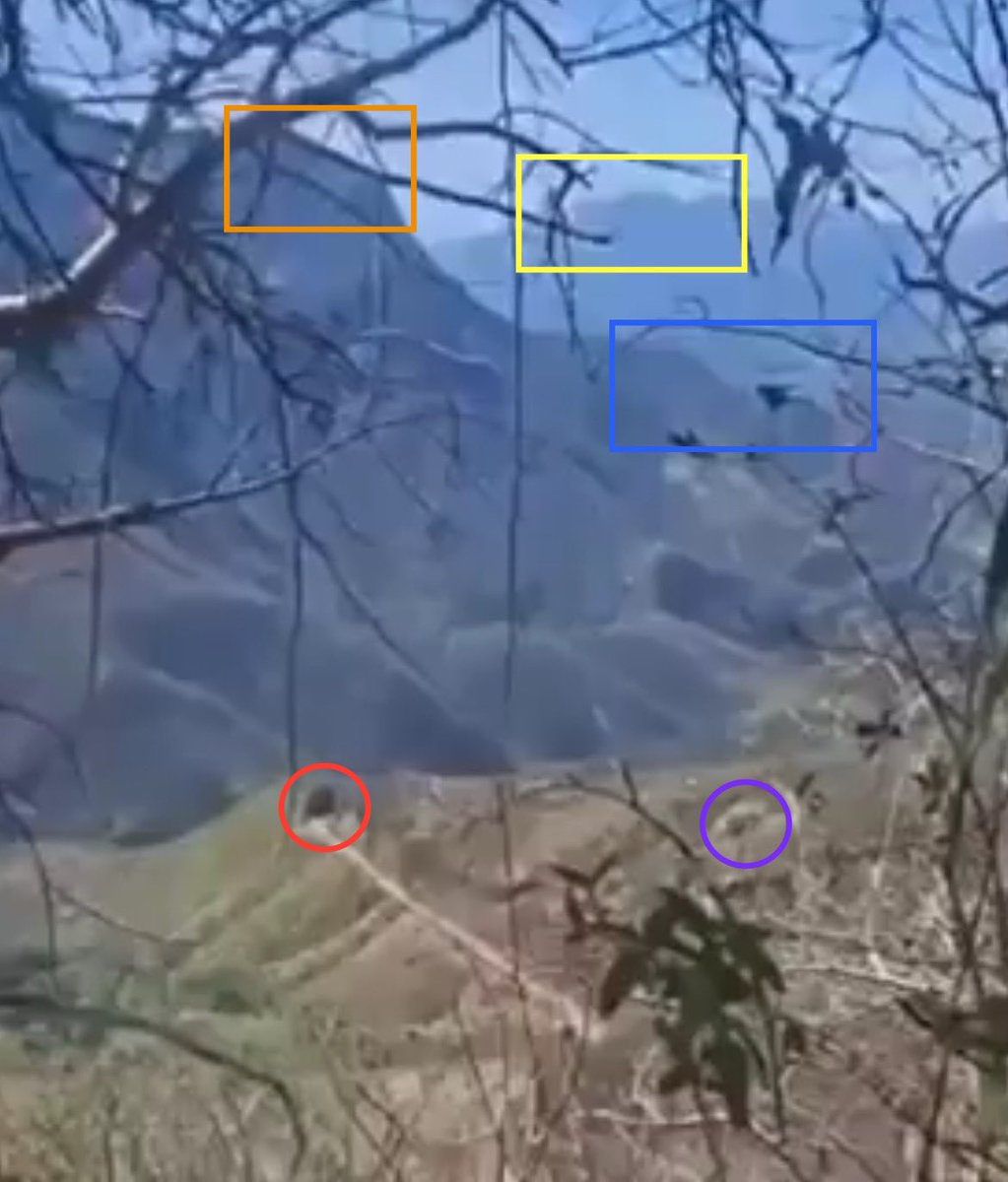 Pernicious Propaganda tweet media